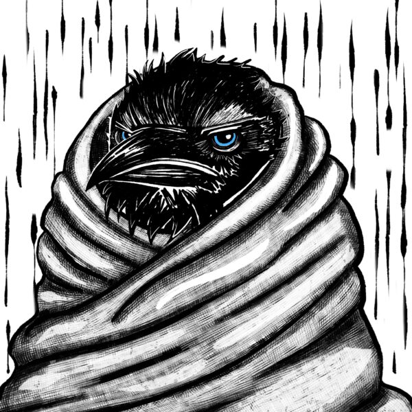 Grumpy Raven – As the Raven Flies (digital art)